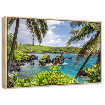 Maui Island Vincente