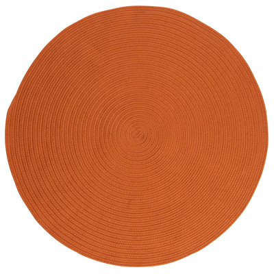 Abygale Indoor / Outdoor Rug
