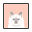 « chat », impression sur toile tendue-19741631-74755637-74755638