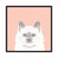 « chat », impression sur toile tendue-74755638-74755637-19741632