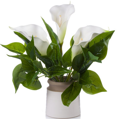 Lillies Arrangement in Pot