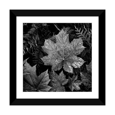 " In Glacier National Park XXIII " by Ansel Adams
