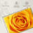 Harnek Lemony Rose-108694975