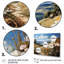 Bleuet des champs de maïs - impression-91581199-91581200