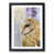 Black Framed selected