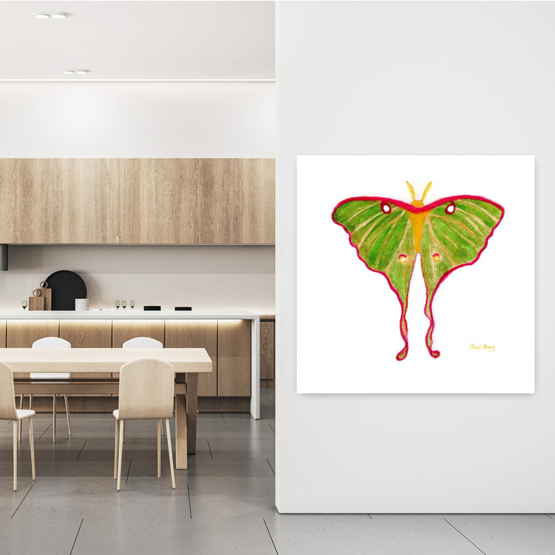 Art contemporain Contemporary Moth, H 48 po x l 48 po