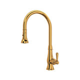Patrizia™ Pull Down Single Handle Kitchen Faucet with Accessories