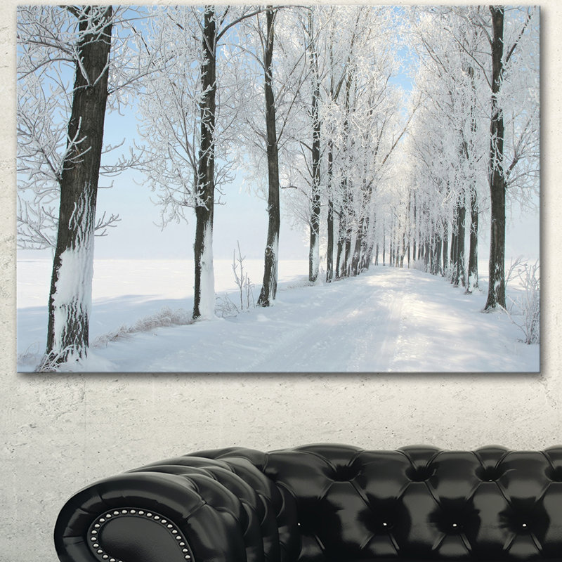 Paysage, forêt d'hiver, photographie sur toile - Winter Forest Lane, H 16 po x l 32 po x P 1 po, Toile tendue