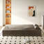 Canapé moderne avec 2 coussins-2107760891