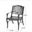 Chaise avec accoudoirs Phoenix (ensemble de 2)-1219849638