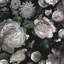Papier peint adhésif floral Moody