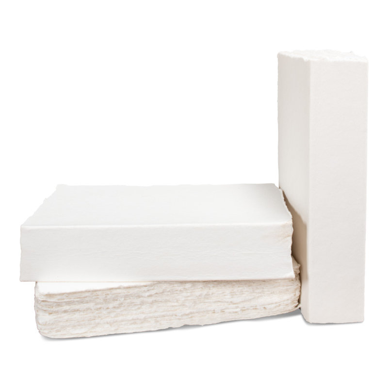 Ledger White
