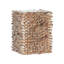 Shell Planter