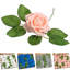 Centre de table Mack Roses-88562628
