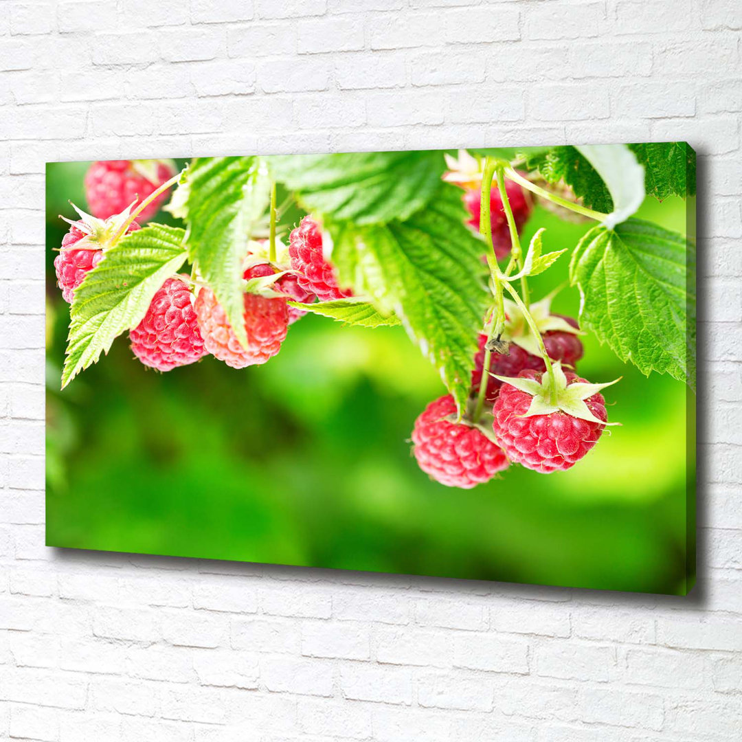 Himbeeren im Garten - Kunstdrucke auf Leinwand