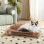 2-in-1 Cardboard Cat Scratcher Lounge