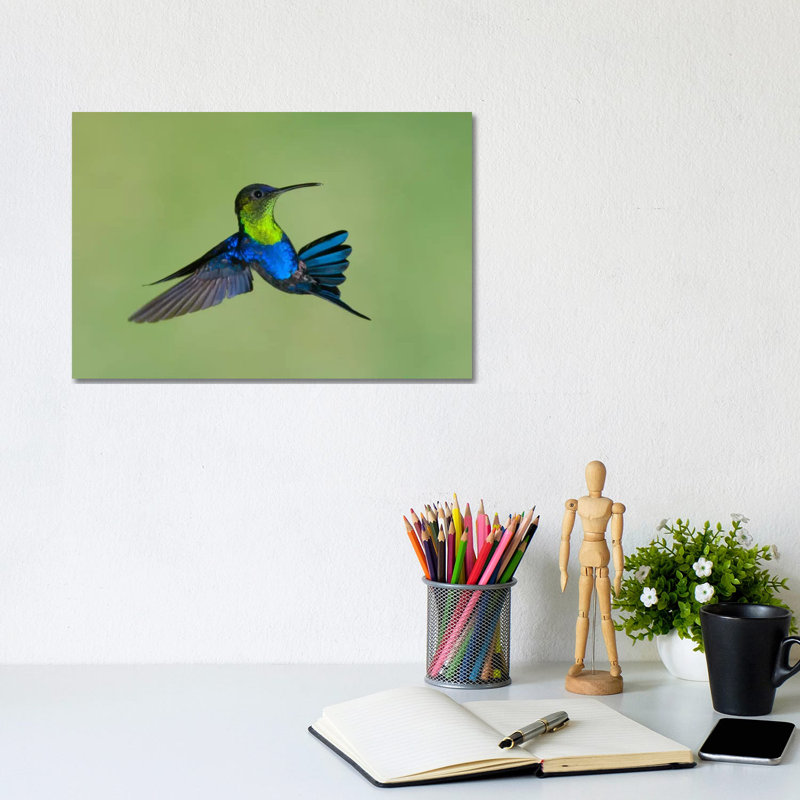 Chippy Origami II by Steve Gettle - Wrapped Canvas Print, 20.32 cm H x 30.48 cm W