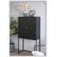Armoire 31,5 x 16,5 x 60 po, noir