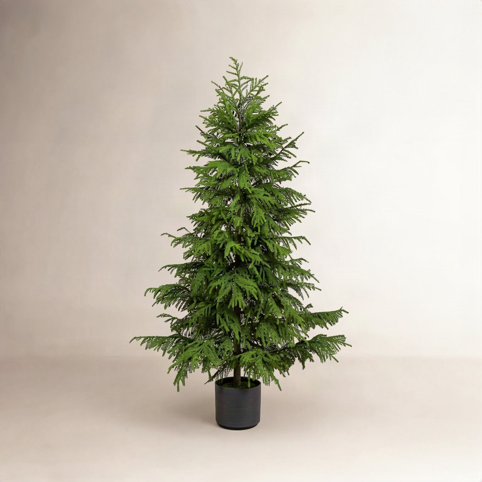 Pine Christmas Tree, 7" H x 45" W x 11" D