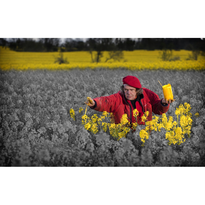Wrapped Canvas Print, 76.2 cm H x 50.8 cm W