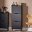 Oshiro Flip Down Shoe Storage-1439939300-1460368821
