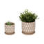 Ensemble de pots à fleurs en céramique avec motif géométrique et soucoupes Cloe Tan