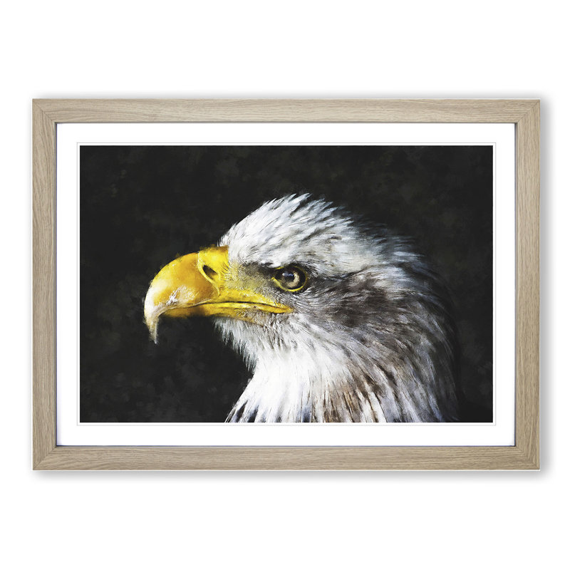 Bald Eagle Vol.1 - Picture Frame Painting, Oak Framed, 48cm H x 65cm W x 2cm D
