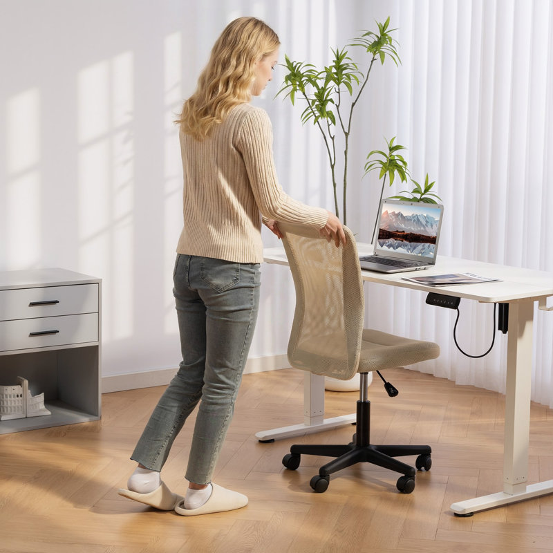 17 Stories Hayre Mesh Office Chair, Beige