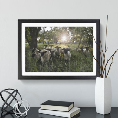 Flock of Sheep Vol.3 - Framed Print