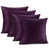Mauve aubergine est en rupture de stock