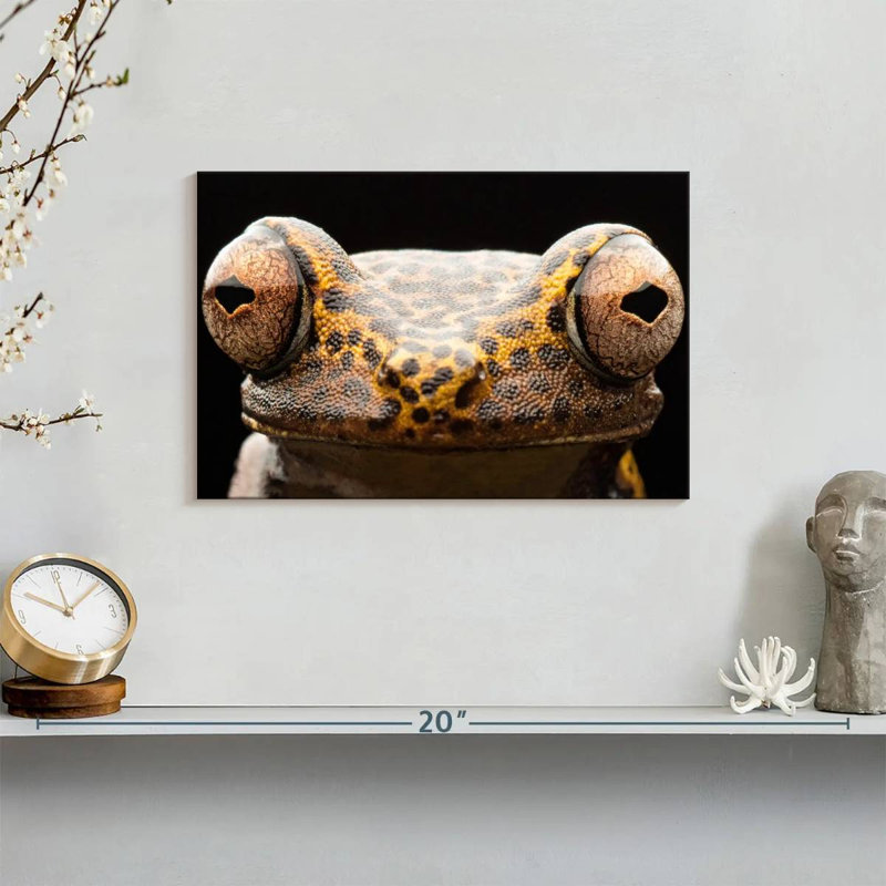 Brampt Tree Frog Eyes, 8" H x 12" W