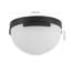 Eddie 1 - Light Flush Mount-692417531