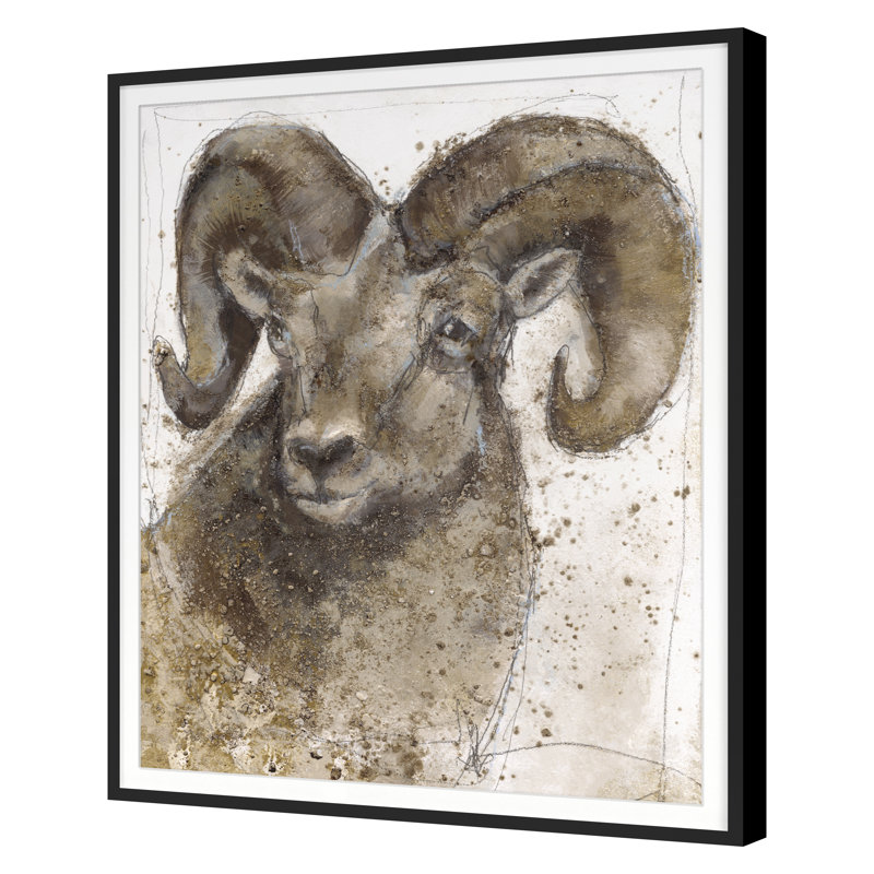 Bighorn Sheep 1 Print by Maeve Harris, 44" H x 36" W x 1.25" D, Black Framed