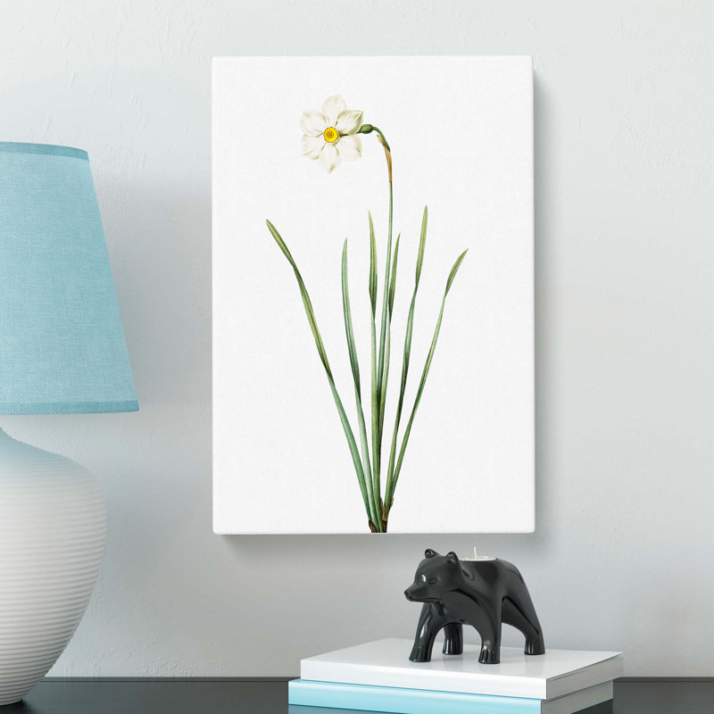 Poeticus Daffodil by Pierre-Joseph Redoute - Wrapped Canvas, 50cm H x 35cm W x 3cm D