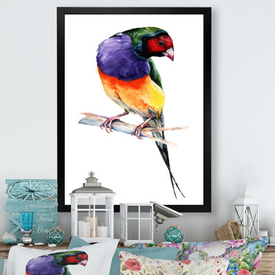 «Colorful Gouldian Finch Bird», reproduction d'art sur toile encadrée