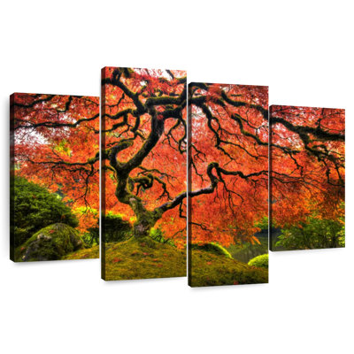 Harnek Japanese Maple