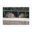 No Frame Print on Canvas-1581740508