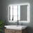 Condrey LED Wall Mirror