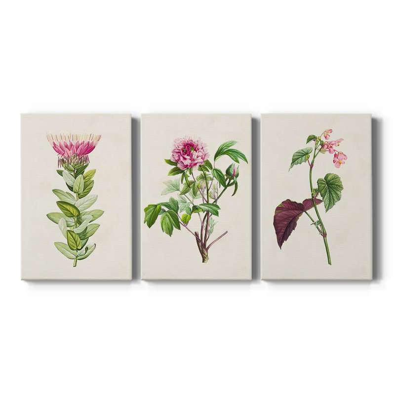 Pretty Pink Botanicals IV - Toile tendue avec châssis sur mesure - 3 pièces, H 60 po x l 120 po