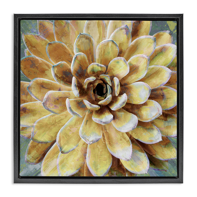 Peinture botanique jaune à fleurs succulentes, H 18 po x l 18 po, Cadre flottant noir de jais