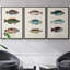 Antique Fish Trio I, ensemble de 3 toiles encadrées sur toile-97760252-97760248