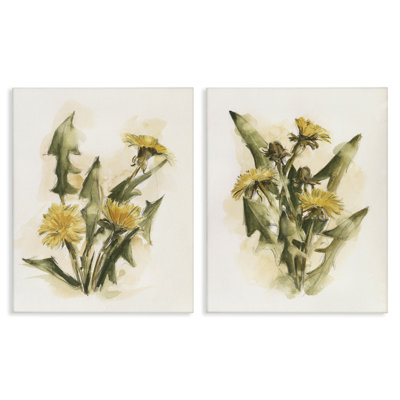 «Dandelion Watercolor Sketch», ensemble de 2 reproductions d'art sur toile par Ethan Harper