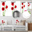 «Isolé rouge coquelicot», impression-33311240-113398223