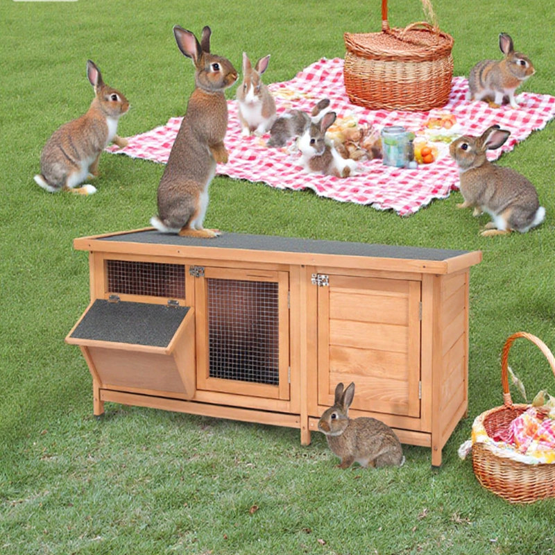 Cage à lapin