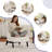  25.98'' Wide Modern Soft Upholstered Accent Chair With Adjustable Backrest And Ottoman-1566653446