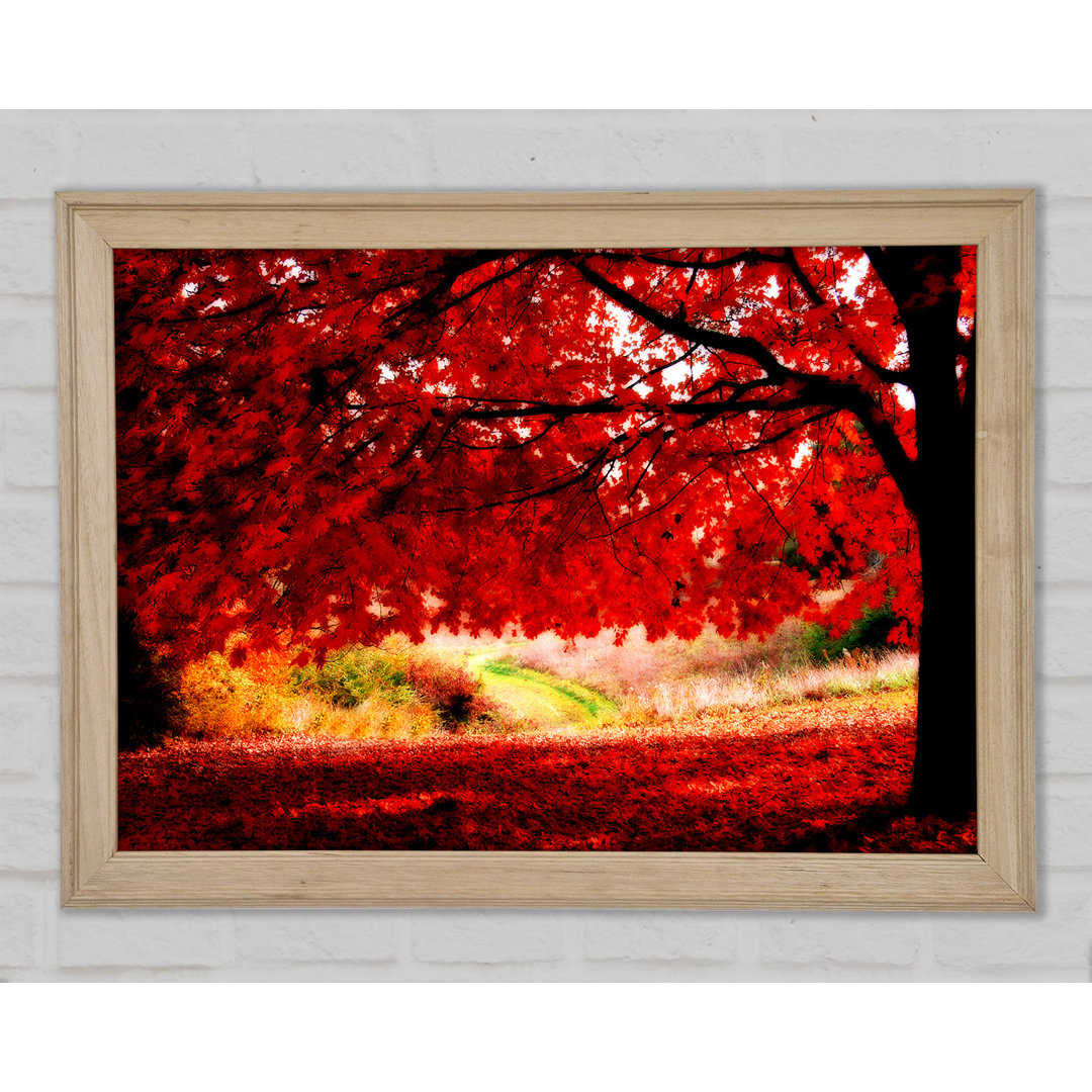 Roter Herbstbaum Gerahmter Druck