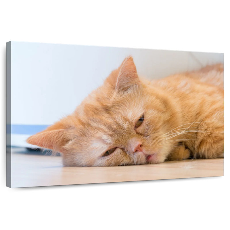 Crowle Sleeping Cat, 20" H x 30" W
