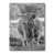Toile tendue