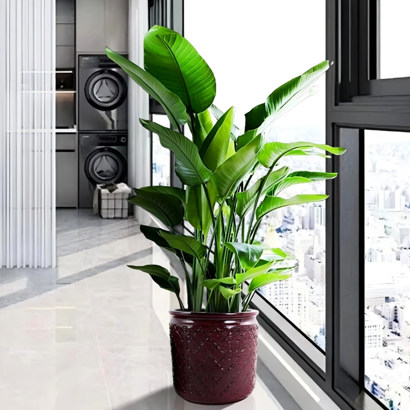 3 pots de fleurs modernes en céramique rouge pour pâte de jardin - Drainage d'extérieur au fini givré et brillant - Racine