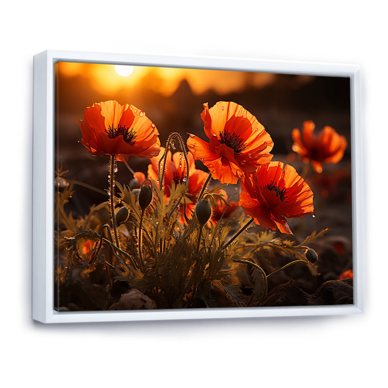 Coucher de soleil coquelicots dans la prairie, Cadre flottant blanc, H 24 po x l 32 po